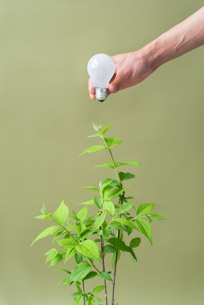 ESG-Compliance und Reporting